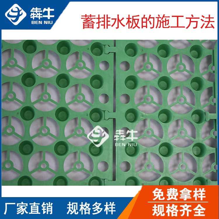 二狗片模板.jpg 二狗片模板.jpg