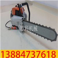 汽油金刚石链锯01.jpg