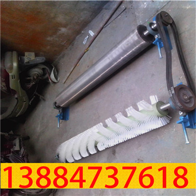 被动滚刷清扫器05.jpg 被动滚刷清扫器05.jpg