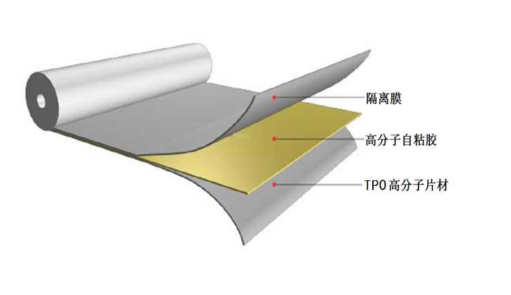 图片20.png 图片20.png