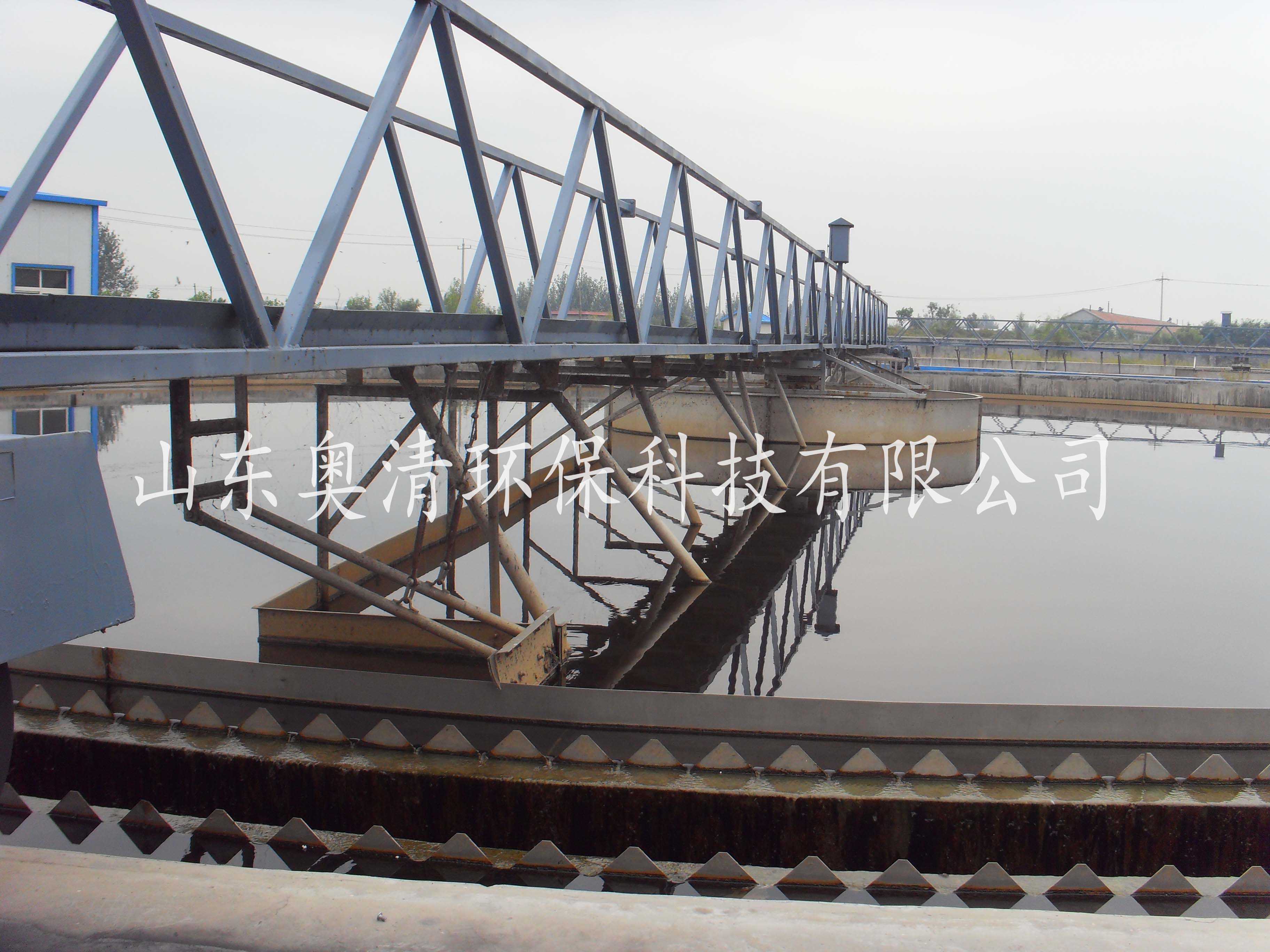 周边传动全桥刮吸泥机.jpg 周边传动全桥刮吸泥机.jpg