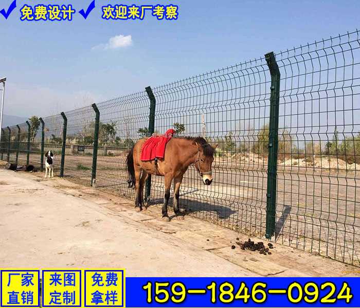 桃10.jpg 桃10.jpg