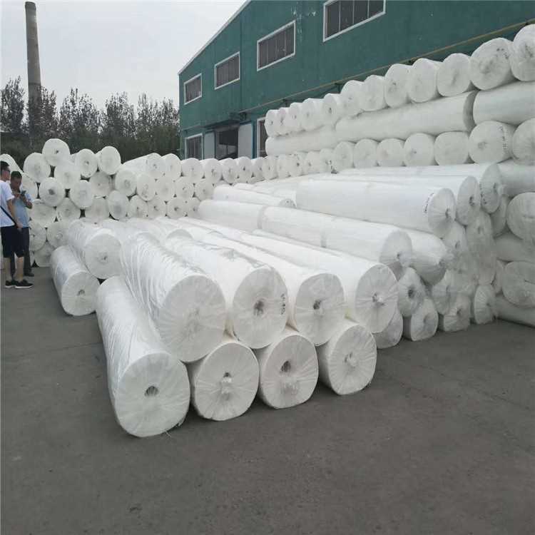 1 (5).jpg 1 (5).jpg