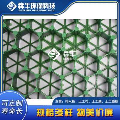 深圳市HDPE加强型植草格 停车场花园土工平口植草格