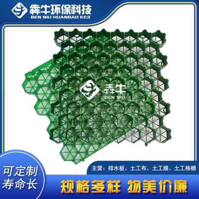 消防登高面绿化种植用植草格 HDPE加强型植草格