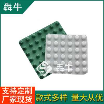 滁州市1.6公分厚黑色排水板规格齐全