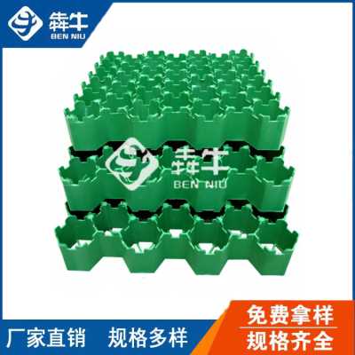 福州市-消防车道生活社区停车场塑料植草格-型号齐全