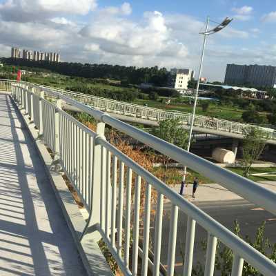广州现货批发防撞护栏 公园景观防护栏 栈道两侧扶手栏杆
