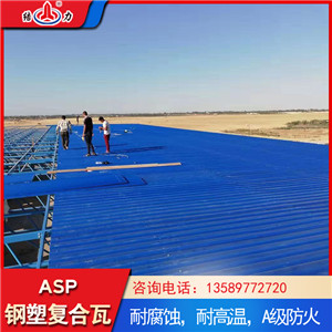 山东诸城asp耐腐板 防腐板 屋面金属瓦可选择不同厚度