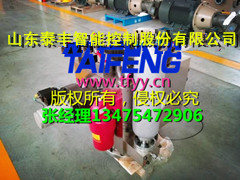 YN32-315HGLBCV不带顶出缸均为Dg25泰丰