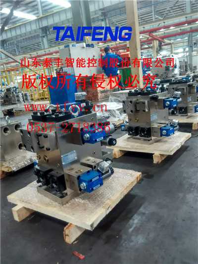 TF10032Y-00a泰丰折弯机阀组