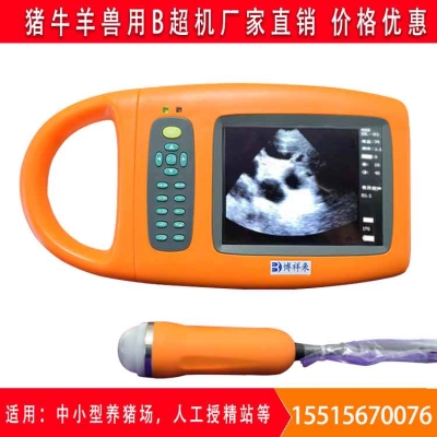 甘肃猪用B超仪多少钱