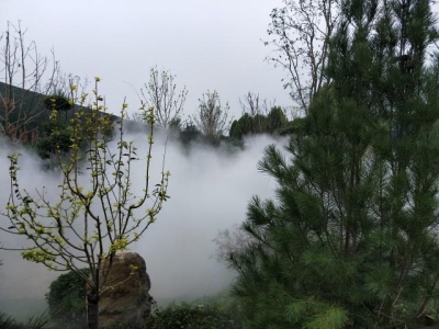 度假村造雾景观水雾系统人造雾设备 雾森大品牌 兆杰机械