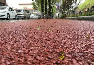 脚下的彩虹|彩色沥青技术 中国沥青网，sinoasphalt.com