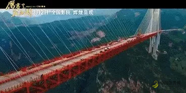14万根高性能聚乙烯纤维撑起港珠澳大桥 中国沥青网，sinoasphalt.com