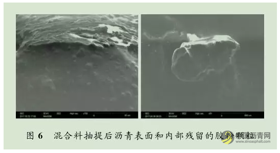 干拌橡胶沥青混合料沥青改性微观形态和效果分析 中国沥青网，sinoasphalt.com
