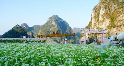 广西：乐百高速公路建设如火如荼 中国沥青网，sinoasphalt.com
