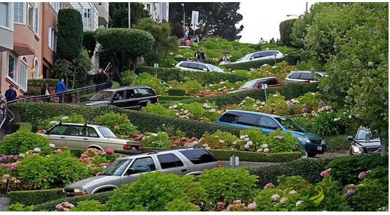 海外 | 这是公路还是城市花园？ 沥青网，sinoasphalt.com