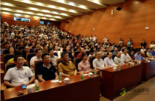 [广东]构建现代化综合交通运输体系 助力粤港澳大湾区建设 沥青网，sinoasphalt.com