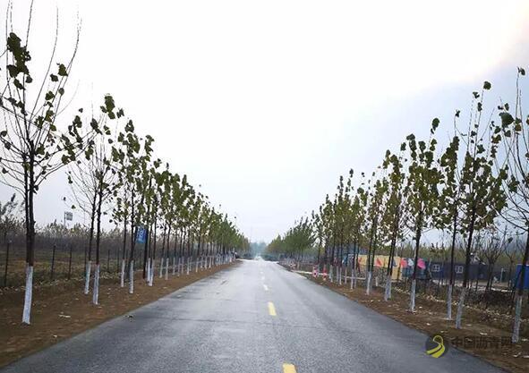 [河北]沧州19个建制村完成穿村路段硬化 沥青网，sinoasphalt.com