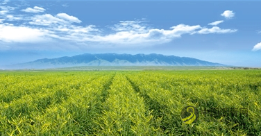 红寺堡区奋力打造“四好农村路”全国示范县 沥青网,sinoasphalt.com