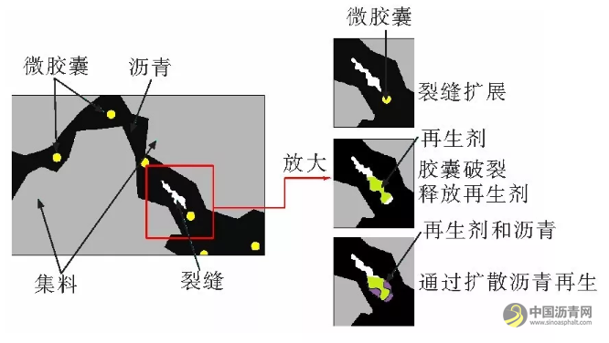 沥青路面自修复（二）|微胶囊法 沥青网，sinoasphalt.com