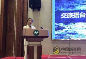 第二届全国美丽农村路建设与产业融合发展研讨会在安徽和县召开 沥青网，sinoasphalt.com