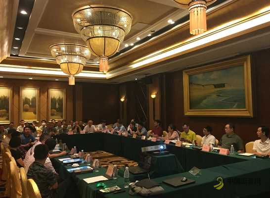 广东省公路学会组织在惠州盐洲大桥改造工程“新型复合玻璃纤维筋”应用施工现场开展技术观摩交流 沥青网，sinoasphalt.com