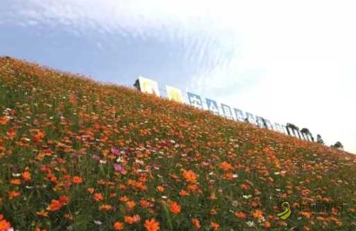 拼搏三季度 全力提进度④ | 北投集团承建的沙吴高速公路通车在即 沥青网，sinoasphalt.com