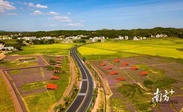 喜讯！广东这6地上榜，有你的家乡吗？ 沥青网，sinoasphalt.com