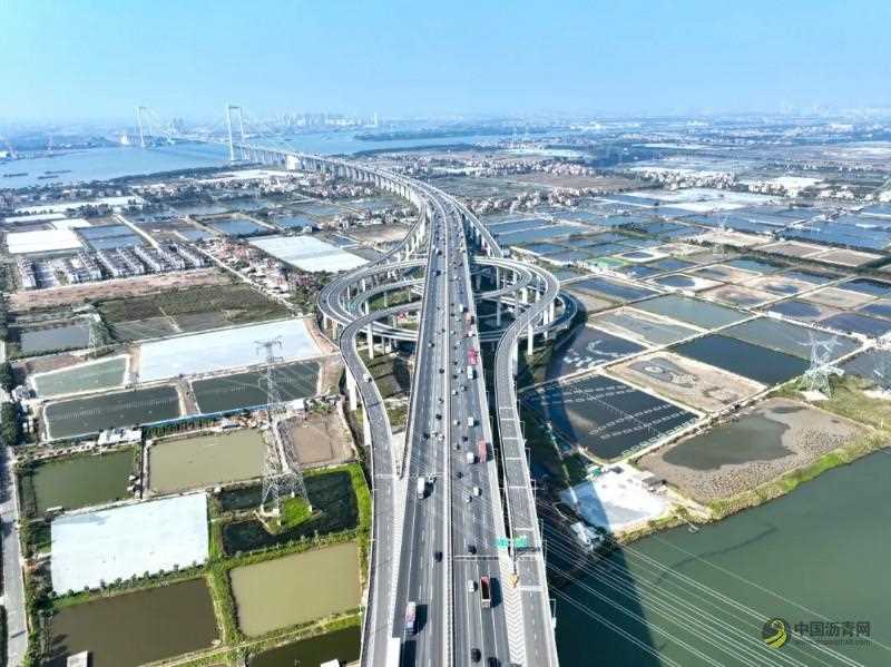 护航春运！南沙大桥装上“智慧大脑” 沥青网，sinoasphalt.com