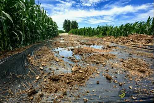 九台区农村道路路面改造项目其塔木段开始水稳摊铺 沥青网，sinoasphalt.com