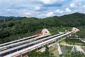 串联莞惠和南沙！这一高速改扩建项目有重要进展→