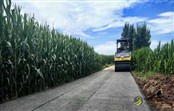 九台区农村道路路面改造项目其塔木段开始水稳摊铺